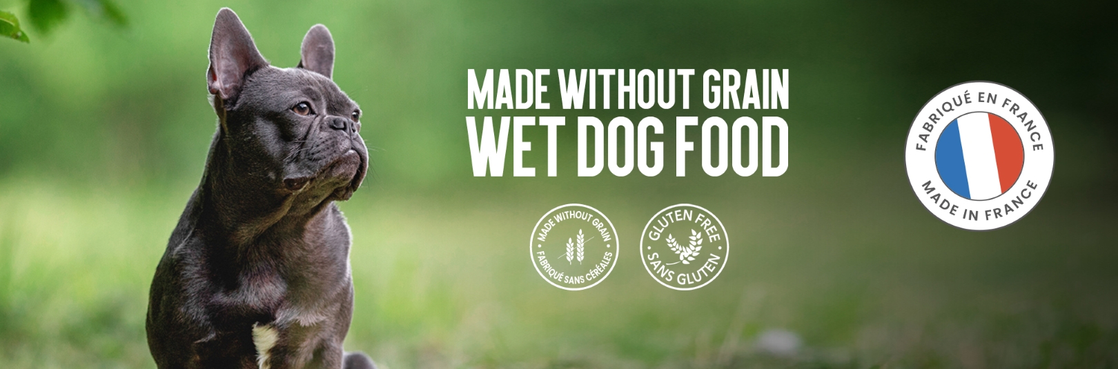 wet_food_cover-1